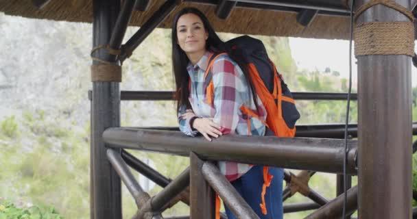 Рюкзак стоїть на гірському огляді — стокове відео