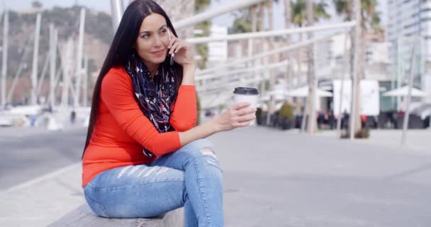 Žena mluví na mobilním telefonu — Stock video