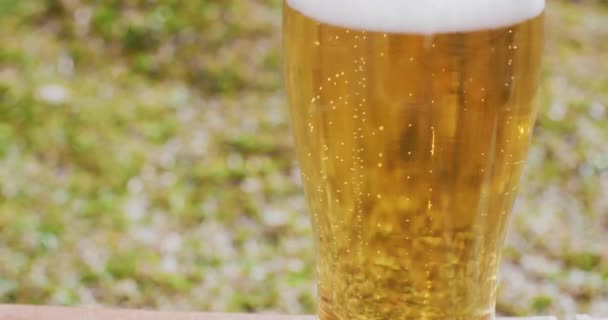 Glas frisches kaltes Bier — Stockvideo