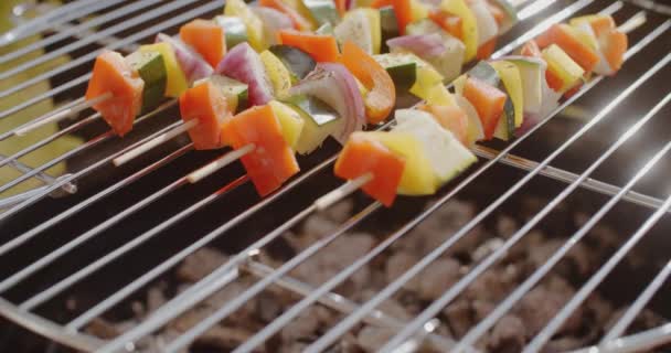 Stegte grøntsager på grill – Stock-video