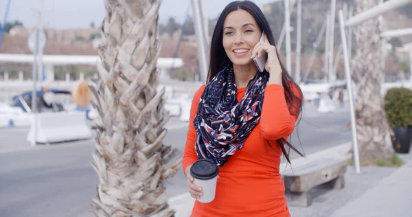 Woman chatting on mobile phone — Stock Photo, Image