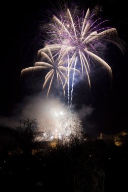 Bulgar görsel-işitsel show 