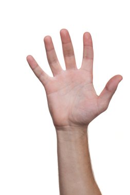 Adam el. Beş parmak. İzole beyaz. Kader.  