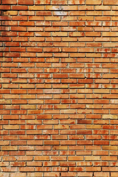 Brick wall texture — Stock Photo, Image