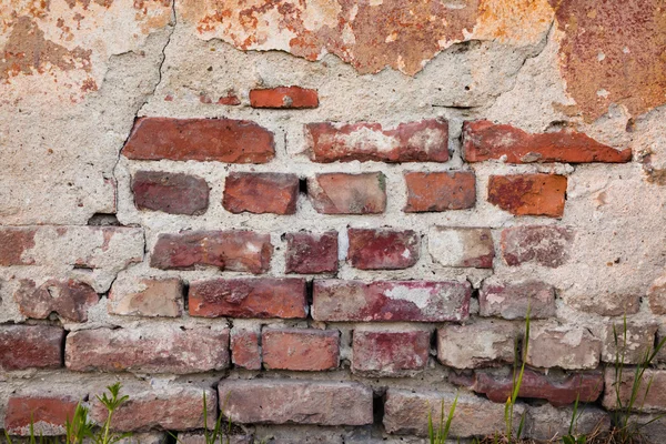 Alte Grunge-Ziegelwand und Gips — Stockfoto