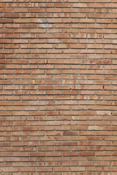 Brick wall texture — Stock Photo, Image