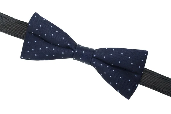 A bow-tie on white background — Stock Photo, Image