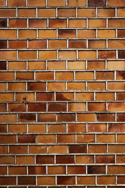 Brick wall texture — Stock Photo, Image