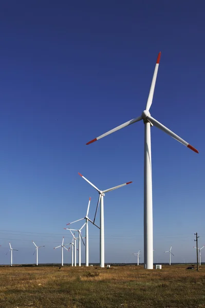 Photo of Wind power installation in sunny day — Stock Photo, Image