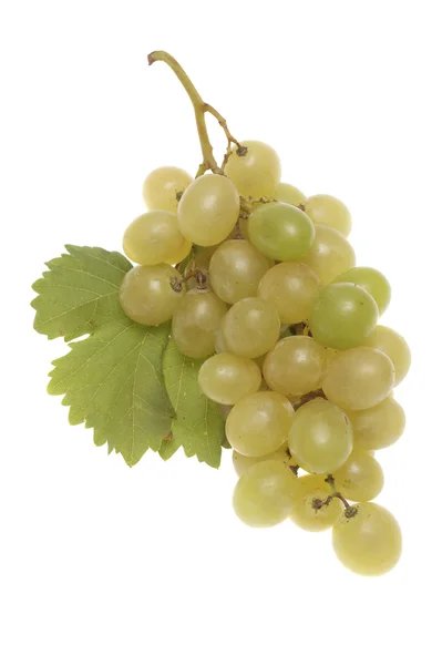 Grappolo d'uva bianco bulgaro con foglie — Foto Stock
