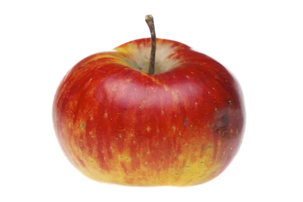 Rött våta äpple — Stockfoto