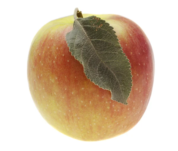 Rode natte appel met blad — Stockfoto