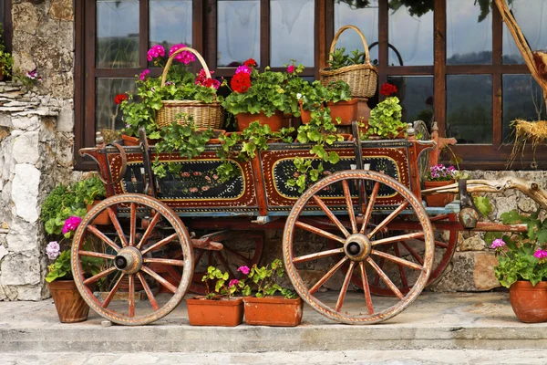 Ox Cart with Flowers in Veliko Tarnovo Bulgaria