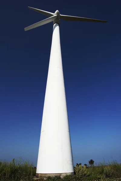 Photo of Wind power installation in sunny day — Stock Photo, Image