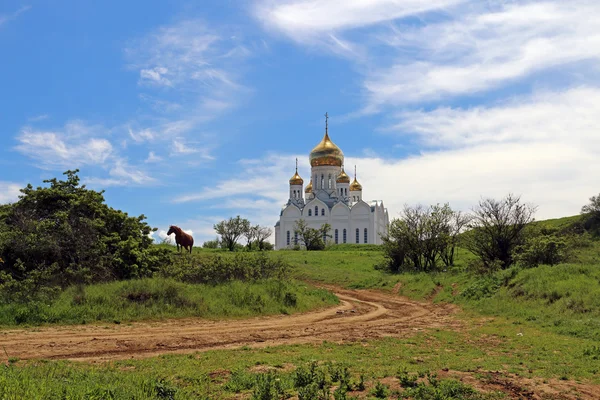 Kuban landscape of Russia — Stock Photo, Image