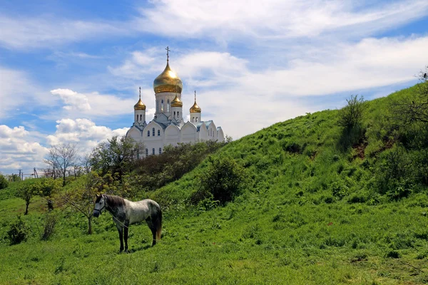 Kuban landscape of Russia — Stock Photo, Image