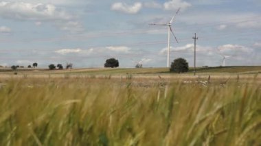 buğday yatay, Rüzgar türbinleri