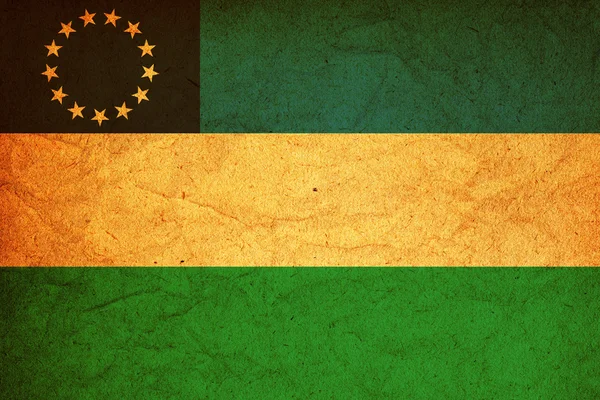 Rio negro bayrak — Stok fotoğraf