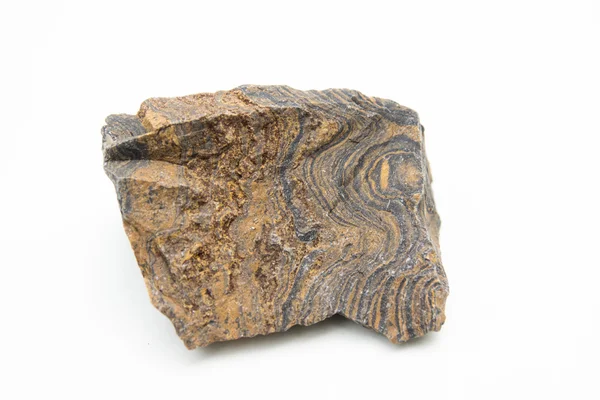 Makroaufnahme von Stromatolithen — Stockfoto