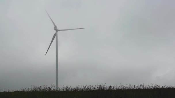 Ветряные мельницы на поле — стоковое видео