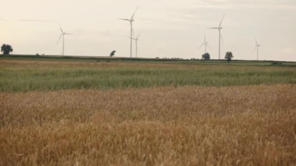 Поле с ветряными турбинами — стоковое видео