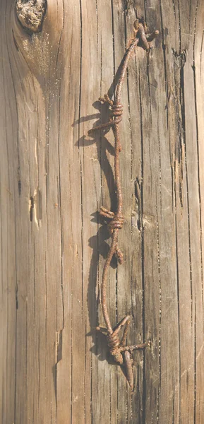 Alter Und Rostiger Stacheldraht Vor Einem Alten Stück Holz — Stockfoto