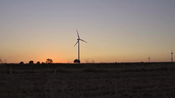 Silhouette Paysage Avec Éoliennes — Video