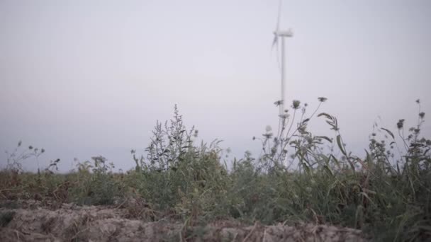 Kırsal Alanda Yeşil Yetişiyor Dönen Rüzgar Türbininin Önünde — Stok video