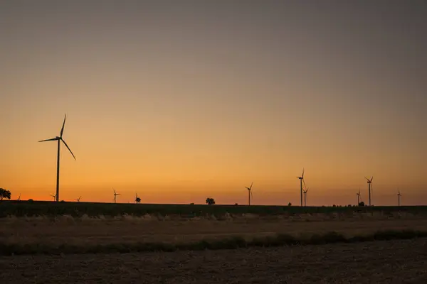 Silhouette Landscape Rural Area Wind Turbines Field Sunset — Stock Photo, Image