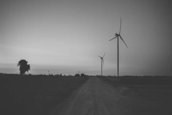 Windräder Auf Dem Feld Ende Des Tages — Stockfoto