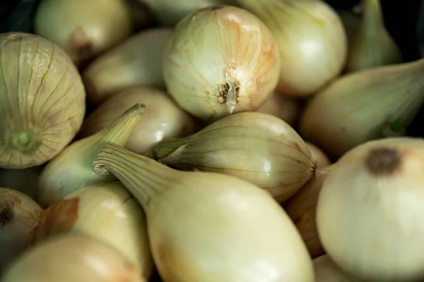 Detail Onion Wooden Box — Stock Photo, Image