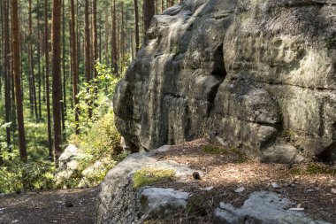 Polonya 'daki Piekielko doğa koruma alanında yaz mevsiminde bir ormanın içinde kumtaşlarından yapılmış kaya oluşumu
