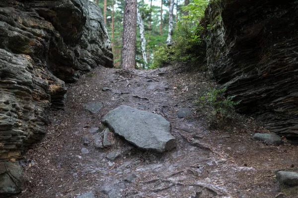 ground path between rock formation made from sandstones inside of a forest during summer season in piekielko nature reserve in Poland