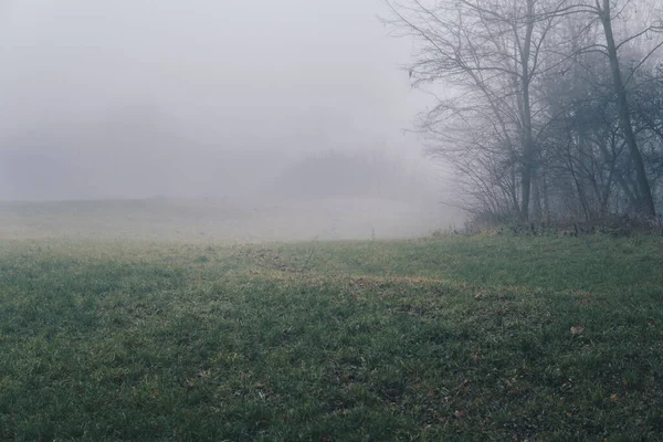 Paisagem Com Campos Durante Inverno Caem Parcialmente Escondidos Uma Névoa — Fotografia de Stock