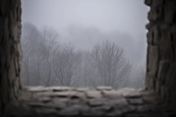 View Castle Window Trees Hidden Fog — Stock Photo, Image
