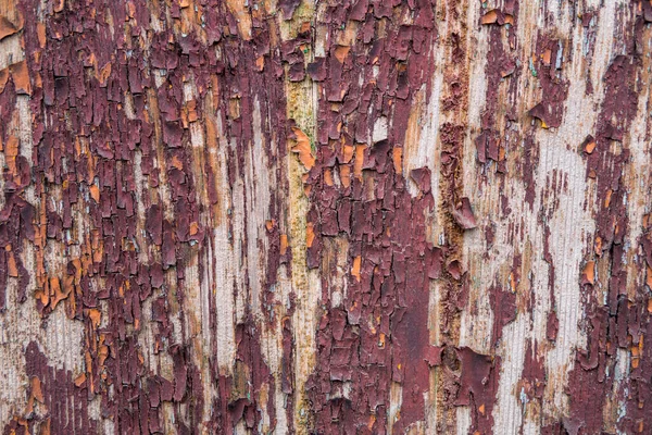 Foto Macro Dettagliata Vecchia Vernice Caduta Parete — Foto Stock