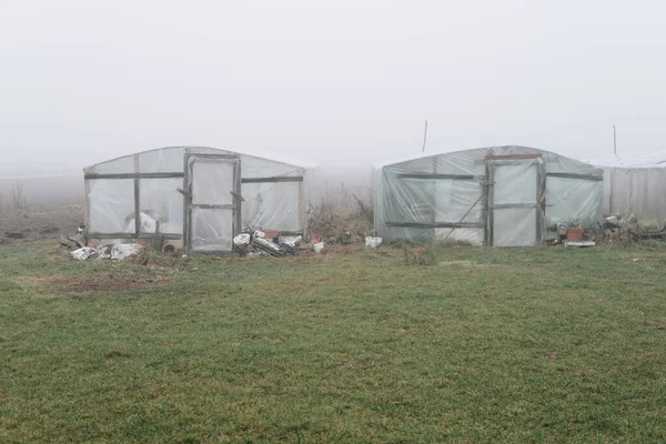 Estufa Campo Escondido Nevoeiro Durante Temporada Inverno — Fotografia de Stock