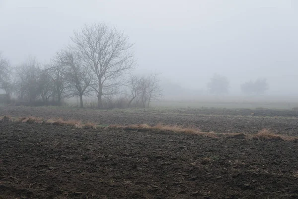Paisaje Con Campos Durante Invierno Caer Parcialmente Oculto Una Niebla —  Fotos de Stock