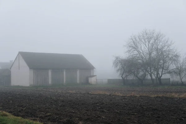 Paisaje Con Campos Durante Invierno Caer Parcialmente Oculto Una Niebla —  Fotos de Stock