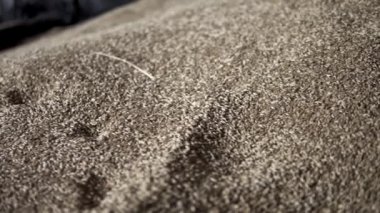 Hasat zamanı tarladan toplanan tahılların üzerinden kayar.