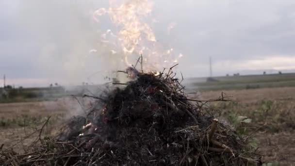 Tűz Mezőről Összegyűjtött Maradványokból Nyári Szezon Végén — Stock videók