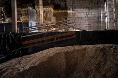 Tahıl ve haye ile eski bir ahır içinde tarım makineleri