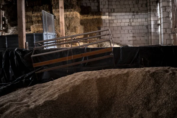 Tahıl ve haye ile eski bir ahır içinde tarım makineleri