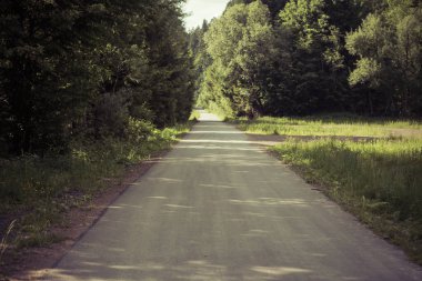 empty asphalt road through a forest