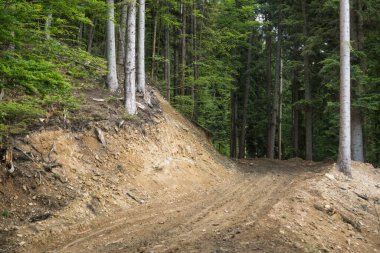 Bieszczady dağlarındaki tepelik bir arazide ormanın içinden geçen toprak yolu.