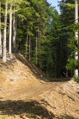 Bieszczady dağlarındaki tepelik bir arazide ormanın içinden geçen toprak yolu.