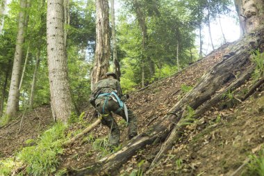 Bieszczady dağlarında dik yamaçlara tırmanan askeri kıyafetli genç bir asker.