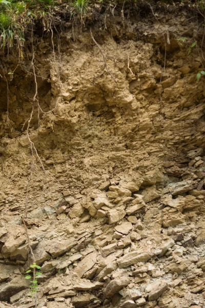 Visible Layers Lithosol Type Soil Bieszczady Mountains — Foto de Stock