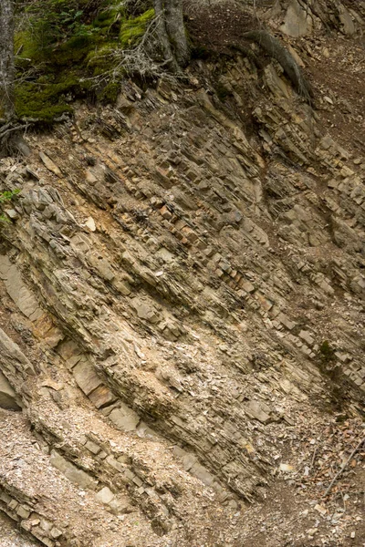 Detalhe Camadas Carpathian Flysch Visível Montanhas Bieszczady Polônia — Fotografia de Stock