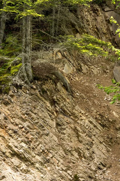 Detail Vrstev Karpatské Flýchy Viditelné Pohoří Bieszczady Polsku — Stock fotografie